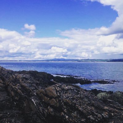 jinjaninjax's profile picture. 