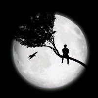 🔛🔝 (@levdimuyh) 's Twitter Profile