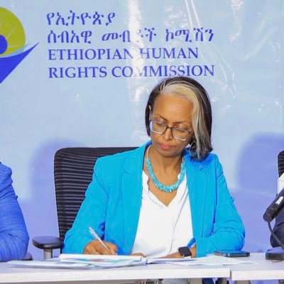 Deputy Chief Commissioner at Ethiopian Human Rights Commission