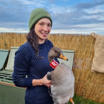 Animal ecologist and ornithologist with special interest in migration. PhD at Aarhus University studying wintering Taiga Bean Geese.   @bewickiiontour