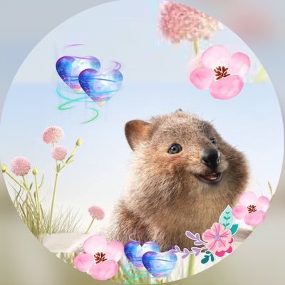 #RescuedByRescues🐾#AdoptDontShop❤️🩹 #AnimalLover💖 #YoungMindsMatter💜 #EVERYLifeMatters💞#IStandWithIsrael✝️💟✡️ #BanHunting #BanGuns NoSwearing🚫NoPorn