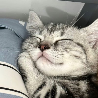 cyhy Profile