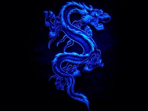 blu_drgn5's profile picture. 