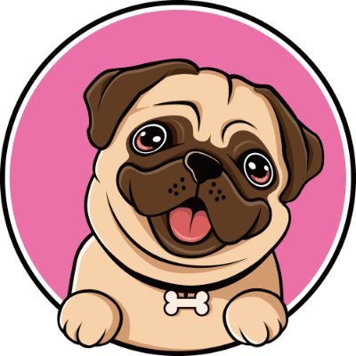 PugLoversClub24's profile picture. 👉Welcome to @pugloversclub24
🐕We share daily #Pug Contents
🐾 Follow us if you really love Pugs