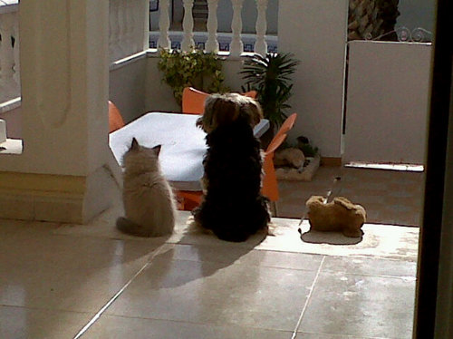 ROSMAVIPU's profile picture. En fin