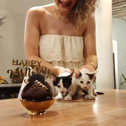 Engineer turned MBA | Passionate about
💡Analysis |♻️ Sustainability|🌱 Nature | 🧘♀️ Yoga |🐾animals
