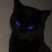 skeletonCAT (@yeskeleton) Twitter profile photo skeletonCAT (@yeskeleton) Twitter profile photo