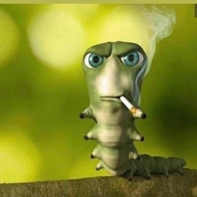 oskaros77041685's profile picture. 