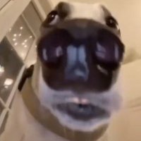 sync (@syncs) 's Twitter Profile