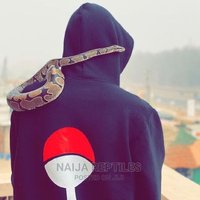 DVM..MGK (@doctrgeee) 's Twitter Profile