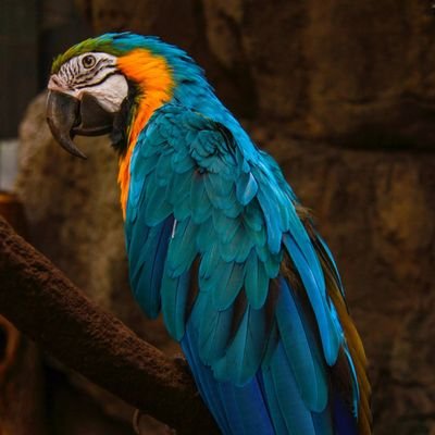 MPheiz93574's profile picture. 