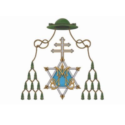 Perfil OFICIAL| Insigne, Pontificia, Real, Colegial, Magistral y Sacramental Cofradia del Stmo. Cristo del Consuelo y Mª Stma. del Sacromonte.