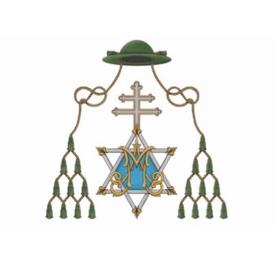 Perfil OFICIAL| Insigne, Pontificia, Real, Colegial, Magistral y Sacramental Cofradia del Stmo. Cristo del Consuelo y Mª Stma. del Sacromonte. 