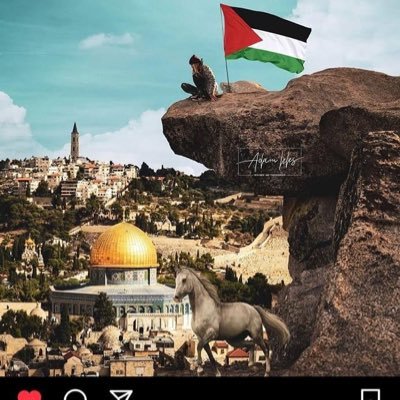 ما بنخافشي .. مفيش بيو لأسباب أمنية ✋ 🇵🇸🇵🇸🇵🇸