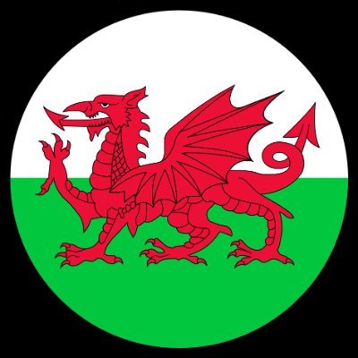 Calling for true regional rugby that includes the whole of Wales. Every club and fan equally. Fully integrated and aligned. We'd be so much stronger together.