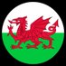 Project Reunion (@WelshRugbyUnity) Twitter profile photo