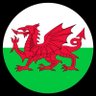WelshRugbyUnity's profile picture. Calling for true regional rugby that includes the whole of Wales. Every club and fan equally. Fully integrated and aligned. We'd be so much stronger together.
