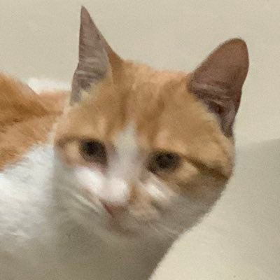 訓さんのプロフィール画像