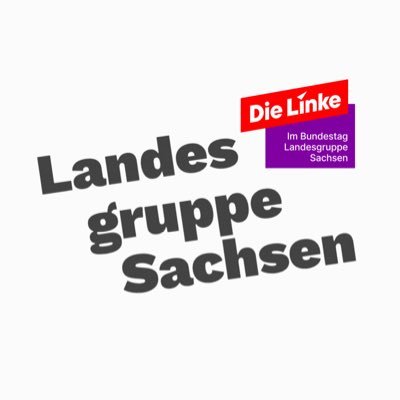 Landesgruppe Sachsen - unsere sächsischen Bundestagsabgeordneten von DIE LINKE / 20. Wahlperiode - Caren Lay, Clara Bünger, Dr. André Hahn und Sören Pellmann -