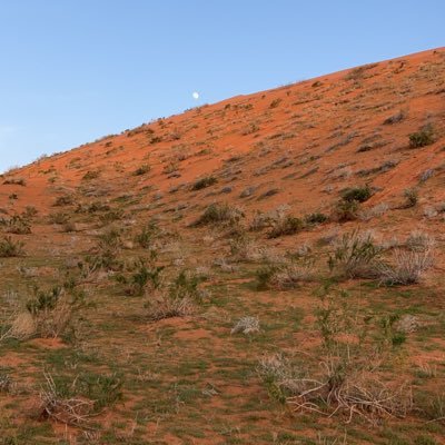 asgg93's profile picture. 