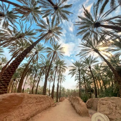 ﴿ وَقُلْ رَبِّي ارْحَمْهُمَا كَمَا رَبَّيَانِي صَغِيرًا ﴾