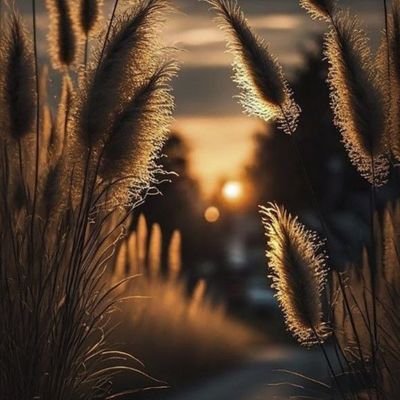 jawaid1234g's profile picture. 