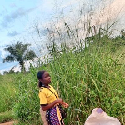 MatondoPre21270's profile picture. universitaire