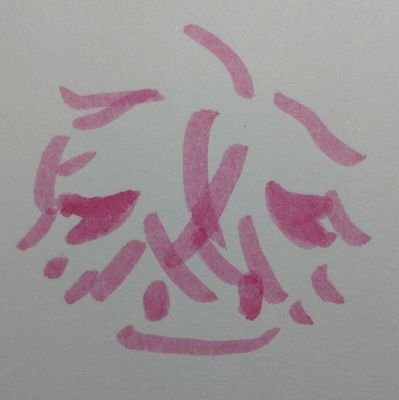 雅雨宮さんのプロフィール画像
