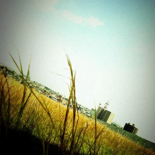 ChalaKao's profile picture. 