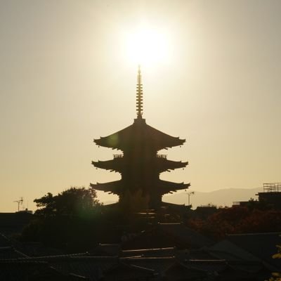 関西中心に活動してる写真家です✨✨
主に風景写真、神社、夜景📷️📷️
撮るの好きな人も見るの好きな人も
ゆっくりしていってください！