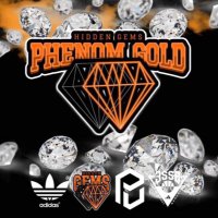 HIDDEN GEMS BASKETBALL (@hiddengemsbball) 's Twitter Profile Photo HIDDEN GEMS BASKETBALL (@hiddengemsbball) 's Twitter Profile Photo