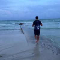 Jordi (@l1_omega) 's Twitter Profile