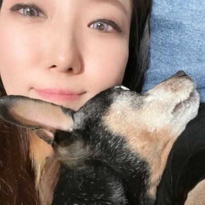 レオパ✖8、ニシアフ✖2、ニホンヤモリ、クレス✖4、トッケイ✖5、ハムスター✖4、フリンジ、アオジタ。モモンゴ✖4、モルモット✖7、ミヤコヒキ✖2、アフリカヤマネ✖2、ダンボラット✖13、コロニジ、トゲマウス、パンサーカメレオン、ジリス、デグー、ミニピンとチワワと暮らしてます♡爬虫類と日常のこと♡