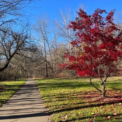 Mental health advocate. Deputy Dir. @NAMIMaryland. Former Dir. of Advocacy @treatmentadvctr. Sports fan and reader of pretentious historical tomes. @UofL alum