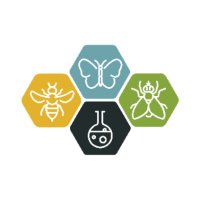 WildPosh (@wildposhproject) 's Twitter Profile
