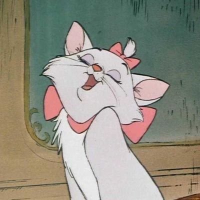 aninhadovest's profile picture. #studytwt