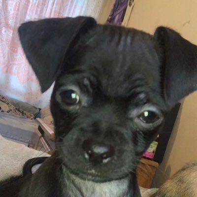 ur_dailytherapy's profile picture. dailyproblems_2.0
❤️🖤🤍