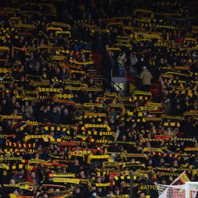 At ‘The 1881 Group’ we wish to spread our openness to want to replace the Pozzo Family from ownership of Watford FC with strong messages to promote our message.