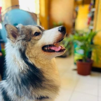 cindermaaaaan's profile picture. deadman walking