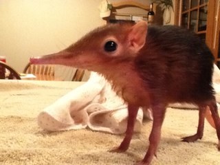 kmart1605's profile picture. 