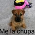 Fabián (@juliosa92647643) Twitter profile photo