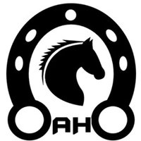 Asesor Hípico Handicapper (@asesorhipico) 's Twitter Profile