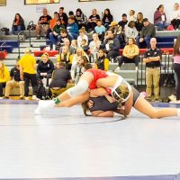 Highland Wrestling (@highhuskywrest) 's Twitter Profile Photo Highland Wrestling (@highhuskywrest) 's Twitter Profile Photo