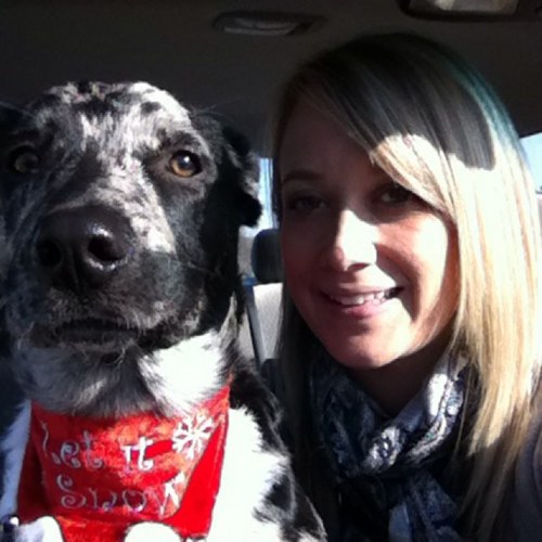 jngrimm's profile picture. 