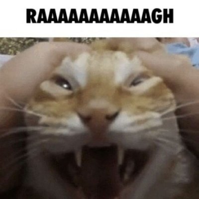 lovestruckb0y's profile picture. meow