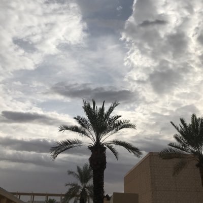 #pnu #math #statistic .. وَاللَّهُ يَعْلَمُ وَأَنْتُمْ لَا تَعْلَمُونَ ♥️✨