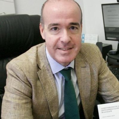 Profesor Titular de Derecho Constitucional - Director del Departamento de Fundamentos del Orden Jurídico y Constitucional @UMU