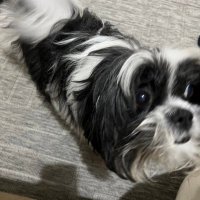 nigthstro (@nigthstro) 's Twitter Profile