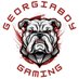 Georgiaboy Gaming (@GeorgiaboyGamin) Twitter profile photo