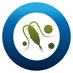@exois-oceaniron.bsky.social (@exois_oceaniron) Twitter profile photo @exois-oceaniron.bsky.social (@exois_oceaniron) Twitter profile photo